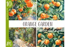 Watercolor orange garden - orchard JPG Product Image 1
