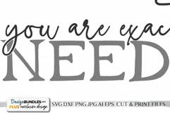 You Are Exactly Where You Need To Be - Farmhouse SVG Product Image 2