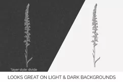 Orchid Flowers - Vintage Florals Sierra Rein Orchid Product Image 2