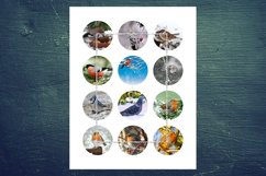 Vintage Birds,2",1.5",1.25",1",35,30,25,20,18,16,14,12mm Product Image 2