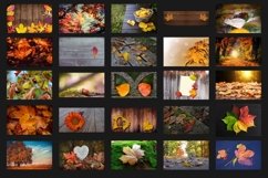 200 AUTUMN DIGITAL PHOTOSHOP OVERLAYS, BACKDROPS BACKGROUNDS Product Image 4