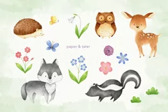 Watercolor Woodland Animals 2 Clipart Graphics Product Image 2