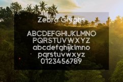 Web Font Zebra Product Image 2