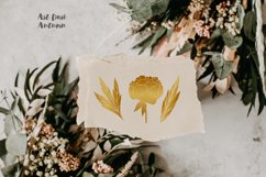 Peony svg, Hand drawn peony flowers PNG, Flowers SVG Product Image 4