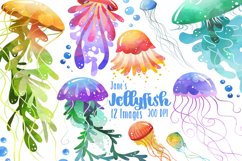 Watercolor Jellyfish Clipart Product Image 1