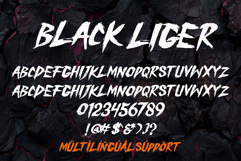 Black Liger - Handbrush Font Product Image 2