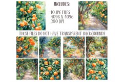 Watercolor orange garden - orchard JPG Product Image 2