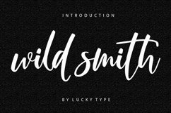 The Authentic Script Font Bundle Product Image 21