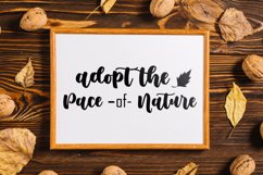 Adopt The pace Of Nature Product Image 1
