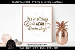 It's A Sliding Into Home Kinda Day- Baseball SVG, Sports SVG Product Image 1
