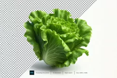 Lettuce Fresh Vegetable Transparent background Product Image 1