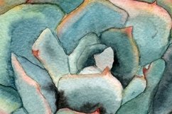 Watercolor Succulents Clip Art Product Image 4