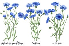 Watercolor prints.Digital prints of Cornflowers.Wall art Product Image 2