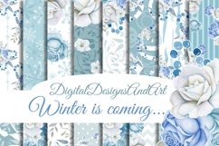 Winter is comming... Product Image 1