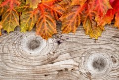autumn leaves on wood background Product Image 1