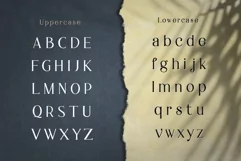 Worth It Font Bundle - Free Font Of The Week Product Image 12