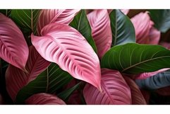 intricate pink foliage Product Image 1