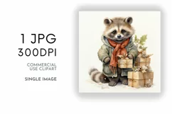 Christmas Raccoon Duo Digital Paper JPG & Image PNG Product Image 2