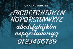 Web Font Sledded Product Image 3