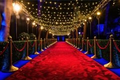 Red carpet entrance leading to glowing event venue at night Product Image 1