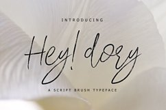Web Font Hey Dory Typeface Product Image 1