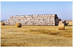 agricultural field with straw stacks Product Image 1