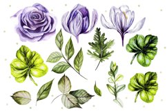 Watercolor Roses &amp; Crocuses Product Image 4