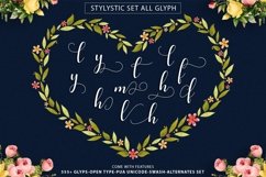 Web Font Prilliya Script Product Image 5