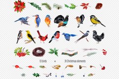 Watercolor clipart Winter birds Product Image 4