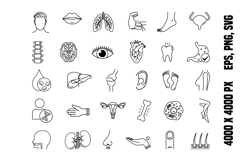 Anatomy Icon Set Product Image 1