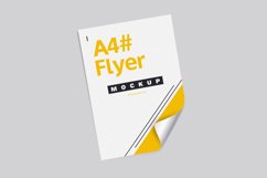 Posters &amp; Flyers Mockups Product Image 5