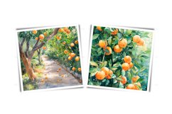 Watercolor orange garden - orchard JPG Product Image 5