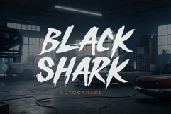 Black Liger | Bold Hand Brush Webfont for Strong Websites Product Image 5