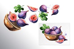 Fig fruit. Watercolor collection Product Image 6