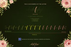 Flamingo - formal script Product Image 4