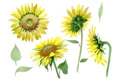 Bright yellow sunflower watercolor png Product Image 1