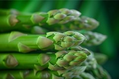 Vibrant Asparagus closeup green. Generate Ai Product Image 1