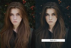 20 Mood Lightroom Presets &amp; LUTs Product Image 9