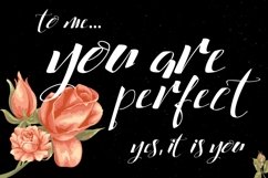 Web Font Cataleya Typeface Full Product Image 4