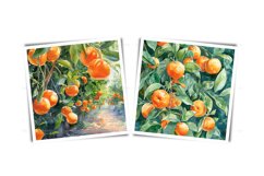 Watercolor orange garden - orchard JPG Product Image 6