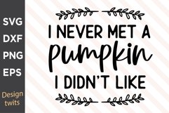 I Never Met A Pumpkin I Didn&#039;t Like SVG Product Image 1
