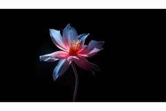 minimal empty dark background Product Image 1