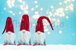 Noel gnomes elfes on snowy background. Product Image 1