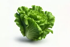 Lettuce Fresh Vegetable Transparent background Product Image 2