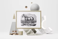 Horse Clipart Black and White Vintage Grand Race Percheronne Product Image 6