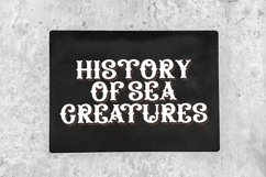 Web Font The Liaison Product Image 2