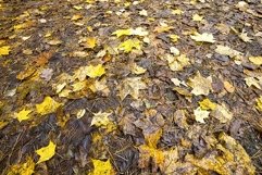 colored abstract background Product Image 1