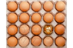 Golden egg. Standing out from the crowd concept. Product Image 1