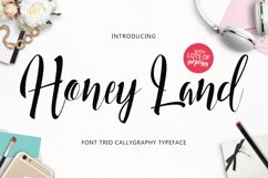 Web Font Honey Land Typeface Product Image 1