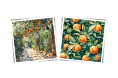 Watercolor orange garden - orchard JPG Product Image 7